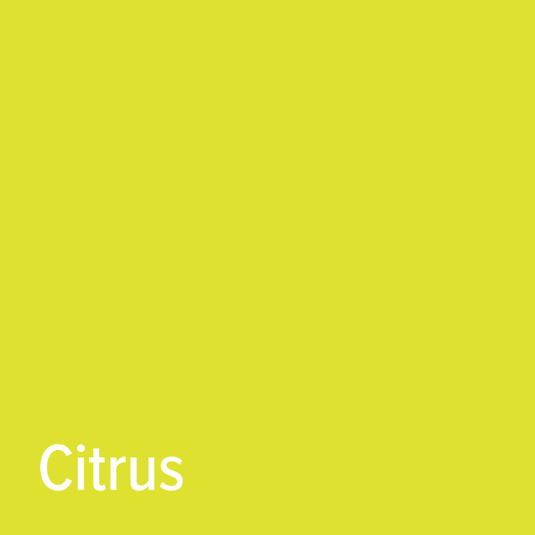 Citrus - Brick 600 Heat Transfer Vinyl (HTV)